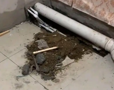 金凤卫生间漏水检测哪家好